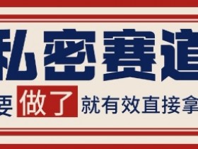 小红书某音私密赛道引流获客 自热矩阵日引200+【揭秘】