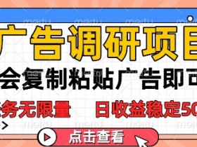 广告调研项目,会复制粘贴广告即可,任务无限量,日收益稳定5张【揭秘】