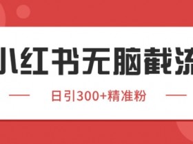 小红书截流同行客源,独家野路子获客玩法 日引200+暴力获客【揭秘】