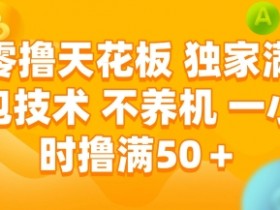 零撸天花板,独家满包技术,不用养机,一小时撸满50+,收益稳定【揭秘】