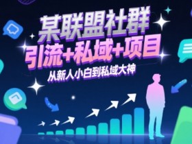 某联盟社群,引流+私域+项目,从新人小白到私域大神