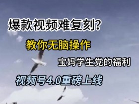 视频号4.0重磅上线,爆款视频难复刻?教你无脑操作宝妈学生党的福利【揭秘】