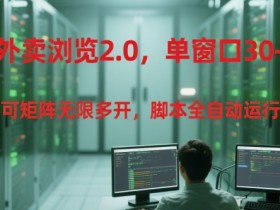 外卖浏览2.0,单窗口30+可矩阵无限多开,脚本全自动运行【揭秘】