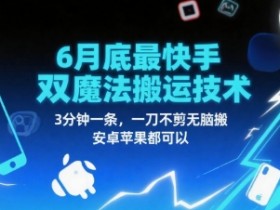 6月底最新快手双魔法搬运技术,3分钟一条,一刀不剪无脑搬,安卓苹果都可以