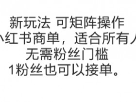 可矩阵操作,小红书商单新玩法,适合所有人,无需粉丝门槛,1粉丝也可以接单