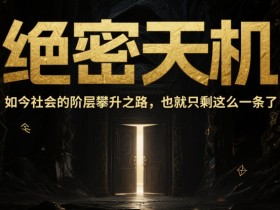 付费文章:绝密天机:如今社会的阶层攀升之路,也就只剩这么一条了