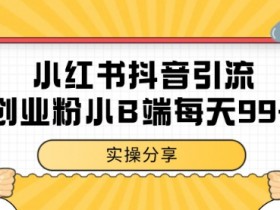 小红书抖音创业粉,小B端粉自热 日引99+的一个玩法【揭秘】