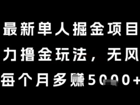 最新单人掘金项目,暴力撸金玩法,无风控,每个月多挣5k+【揭秘】