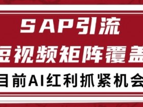 小红书某音sap赛道引流获客 自热矩阵日引200+【揭秘】