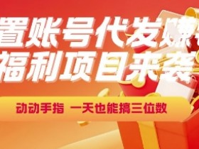 福利项目来袭,闲置账号代发挣钱,动动手指,一天也能搞三位数【揭秘】