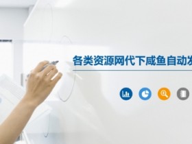 各类资源网代下咸鱼自动发货