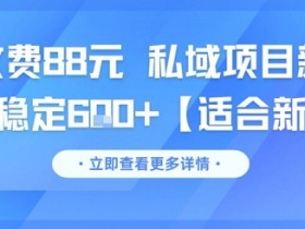 一单收费88元 私域项目新玩法 每天稳定6张+【适合新手】