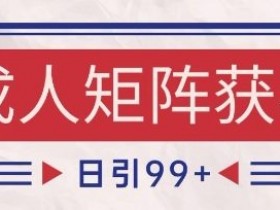 小红书某音橙人赛道引流获客,自热矩阵日引200+【揭秘】