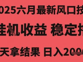 2025六月最新风口技术,无人挂G撸礼物,长期稳定 一个小时收益2k+,小白当天拿结果【揭秘】