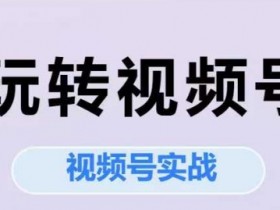玩转视频号,视频号实战系列课