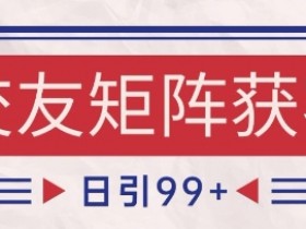 小红书某音交友赛道引流获客 自热矩阵日引200+【揭秘】