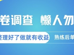 问卷调查,懒人勿扰,问卷都整理好了单价不等,做就有收益,熟练后单日3张【揭秘】