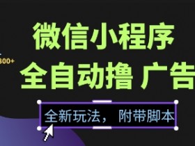 微信小程序全自动撸广告项目,彻底解决没流量的问题,新手一天8张+【揭秘】
