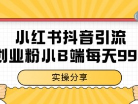小红书抖音创业粉,小B端粉自热,日引99+的一个玩法【揭秘】