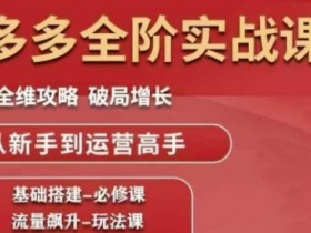 拼多多全阶实战课程,全维攻略,破局增长,从新手到运营高手