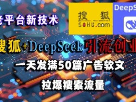 搜狐+DeepSeek引流创业粉,老平台新技术,一天发满50篇广告软文,拉爆搜索流量