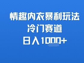 情趣内衣暴利玩法,冷门赛道,日入1k+