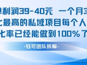 每单利润40一个月7k+转化最高的私域项目,每个人都要的产品转化率已经能做到100%