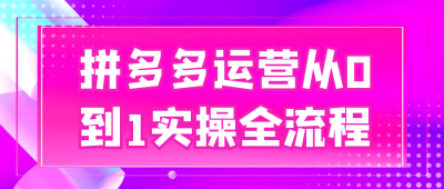 新媒体运营拼多多运营从0到1实操全流程