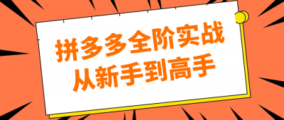 新媒体运营拼多多全阶实战从新手到高手