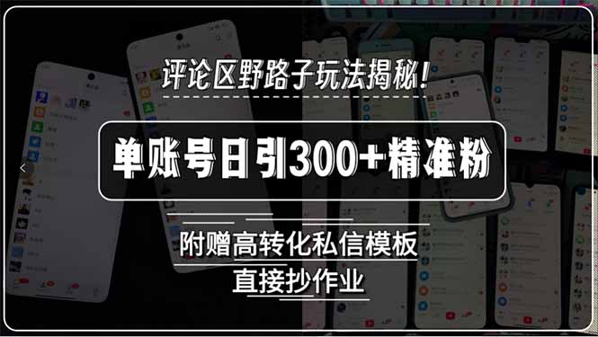 (15466期)评论区野路子玩法揭秘!单账号日引300+精准粉,附赠高转化私信模板,直…