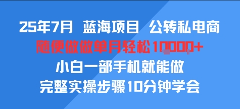 25年7月蓝海项目,公转私电商,随便做做单月轻松1w,小白一部手机就能做,完整实操步骤10分钟学会