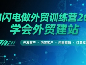 AI闪电做外贸训练营26期,学会外贸建站-开发客户-内容营销-订单成交