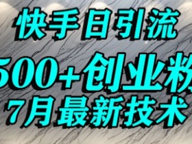 创业粉怎么打?快手精准引流创业粉,宝妈群体日进500+精准流量