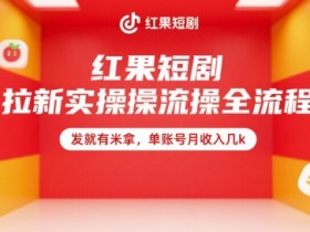 红果短剧拉新实操全流程,发就有米拿,单账号月收入几k