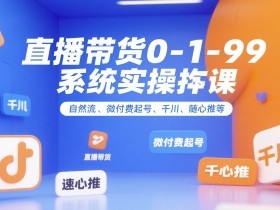 直播带货0~1~99系统实操课,自然流、微付费起号、千川、随心推等,直播带货全链路完整逻辑