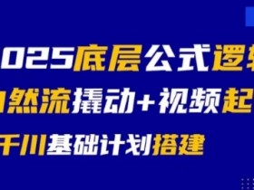 2025底层公式逻辑自然流撬动+视频起号+千川基础计划搭建