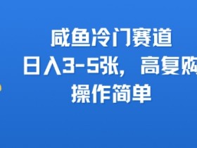咸鱼冷门赛道,日入3-5张,高复购,操作简单