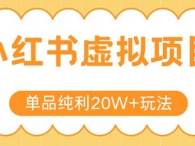 小红书卖虚拟产品,单品纯利20W+玩法分享,4节系列课程