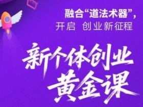 新个体创业黄金课:道法术器四维抢占2025红利