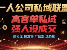 一人公司私域联盟,高客单私域,强人设成交,建私域 搞发售 广结盟 造势能