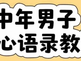 云天中年男人扎心语录图文视频,全套课程,含智能体,一键生成