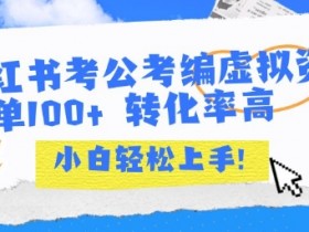 小红书考公考编虚拟资料出售一单100+  转化率高  小白可轻松上手