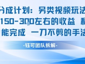 视频号分成另类视频玩法单号每天固定150左右的收益利用AI就能完成一刀不剪的手法