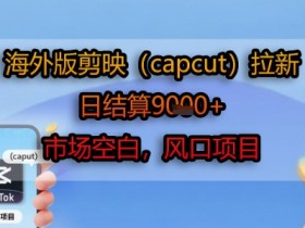 海外版剪映(capcut)拉新,日结算1k+,市场空白,风口项目