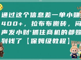 通过这个信息差一单小挣4张+,拉布布搬砖,闷声发小财抓住商机的都挣到钱了【保姆级教程】
