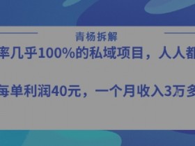 转化率最高的私域项目,每单利润40-50米,月入过1w