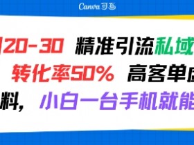 日引 20-30 精准引流私域新玩法,转化率50% 高客单虚拟资料,小白一台手机就能做