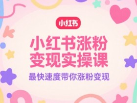 小红书涨粉变现实操课,最快速度带你涨粉变现