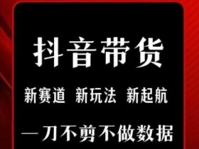 抖音短视频一刀不剪带货,不剪辑,不直播,每天发个视频,等着出单获取带货佣金