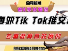 海外tiktok小说推文暴力项目,高停留率,高转化率,上手后一天搞顿饭钱不是问题